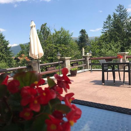 Vila Terase Hotel Sinaia Exterior photo