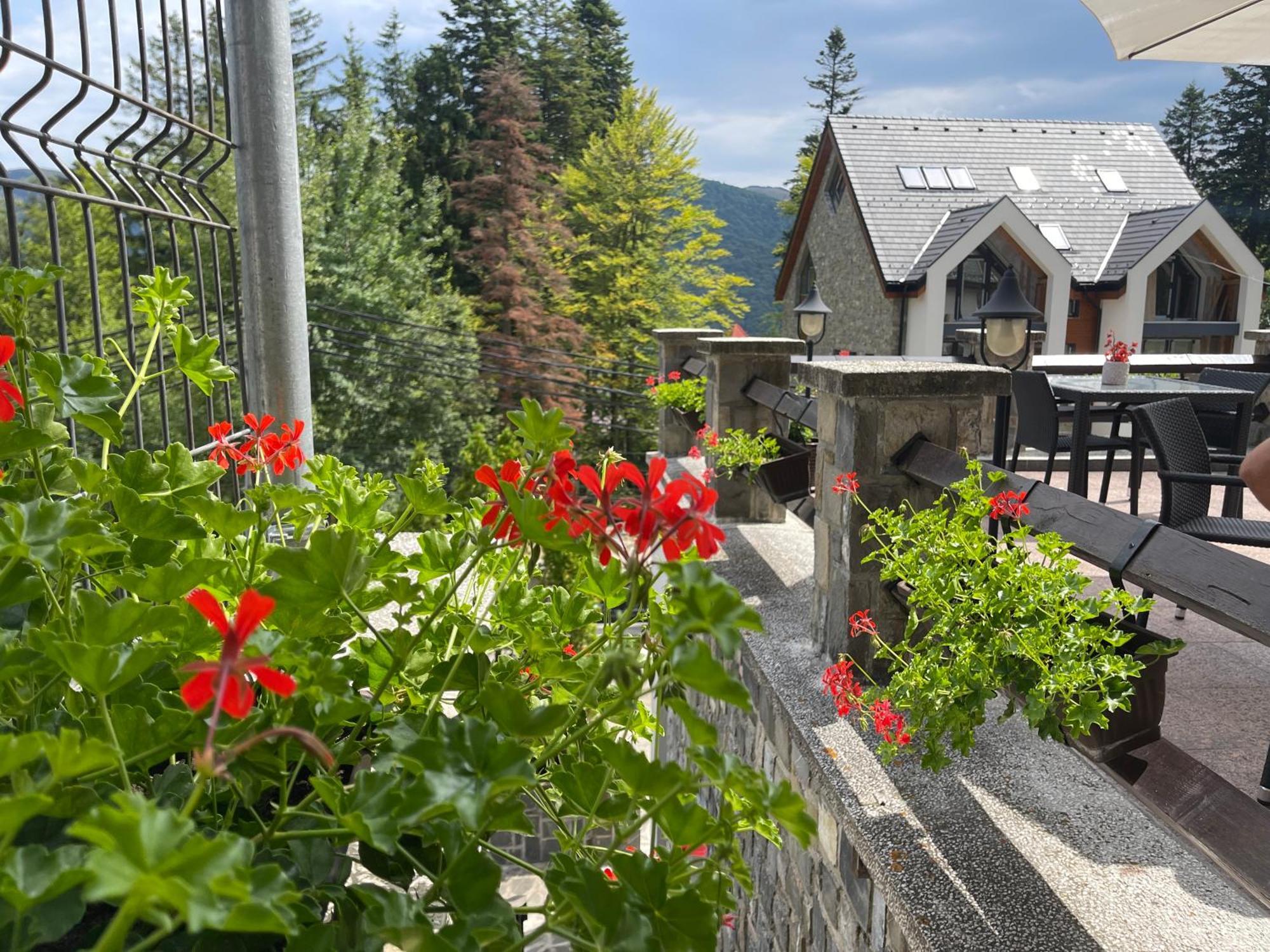 Vila Terase Hotel Sinaia Exterior photo