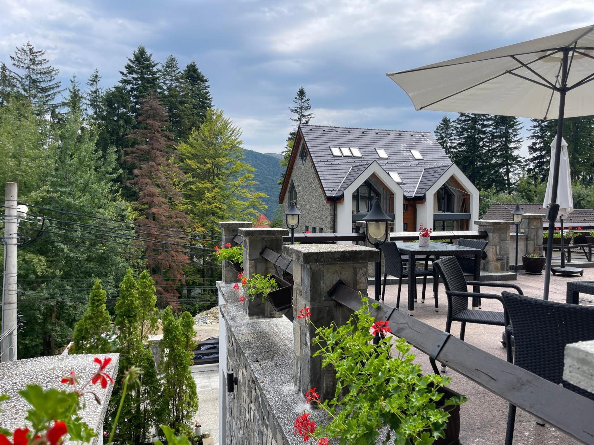 Vila Terase Hotel Sinaia Exterior photo