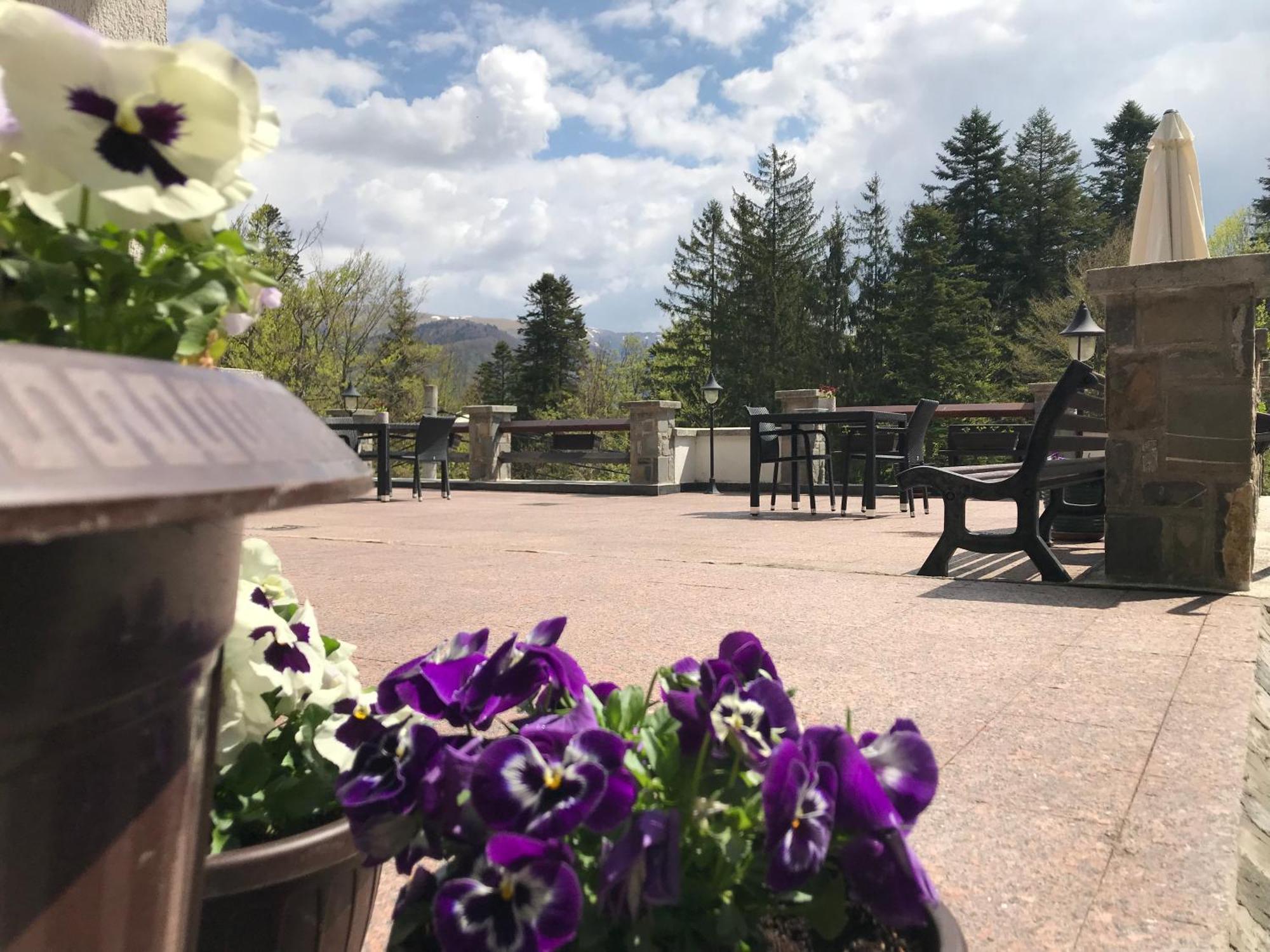 Vila Terase Hotel Sinaia Exterior photo