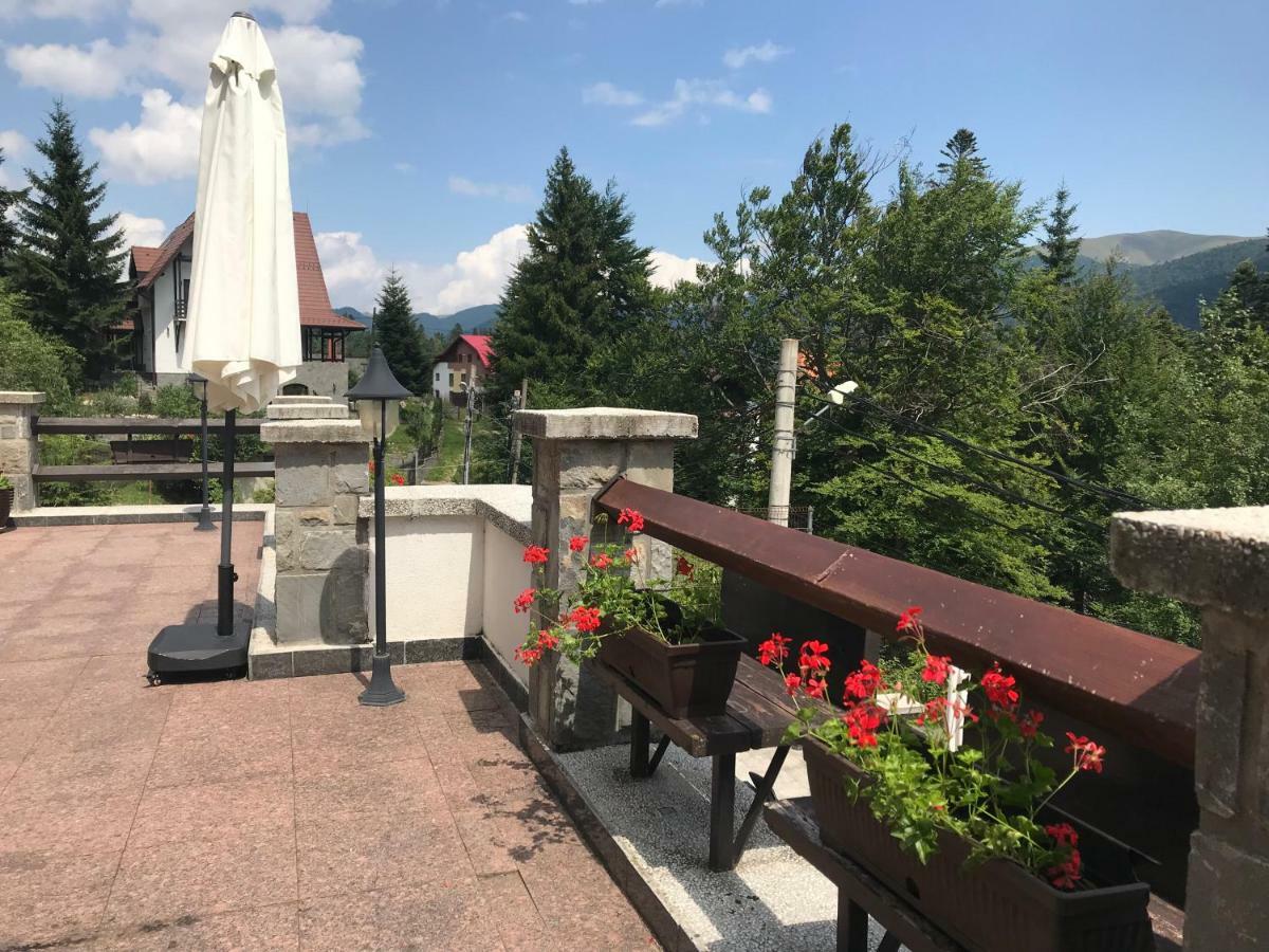 Vila Terase Hotel Sinaia Exterior photo